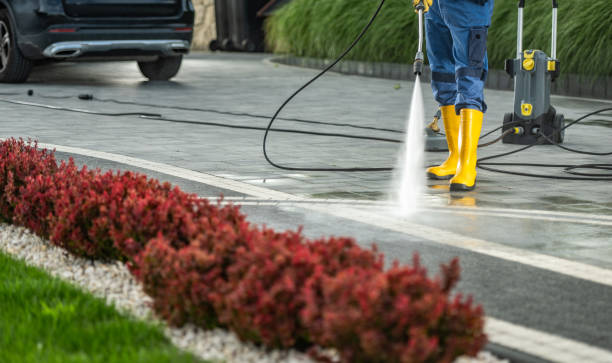 Best Soft Washing  in Easton, CA